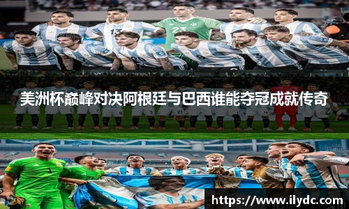 美洲杯巅峰对决阿根廷与巴西谁能夺冠成就传奇